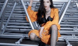 吃瓜网官网免费观看 明星黑丝袜穿搭,免费观看，黑丝袜穿搭解析