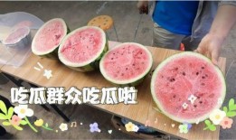 今日吃瓜每日必吃